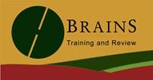 BRAINS logo